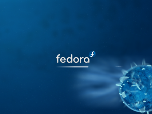 How To Install Fedora 10 With Vista